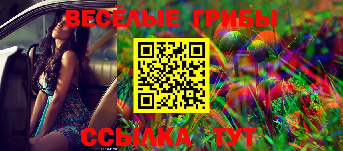 Нальчик  Псилоцибиновые грибы Cubensis  Вход с VPN 